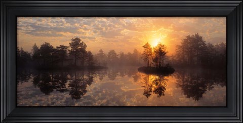 Framed Knuthojdmossen Nature Reserve Sweden Print