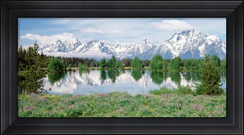 Framed Spring Grand Teton National Park WY Print