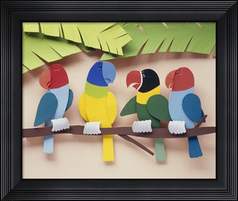 Framed Illustration birds Print