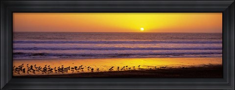 Framed Sunset near Santa Cruz Print