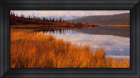 Framed Wonder Lake &amp; Alaska Range Denali National Park Print