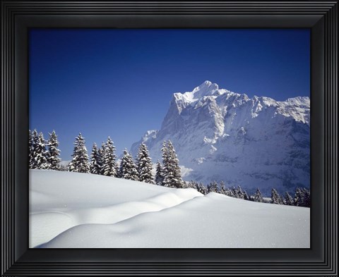 Framed Trees on a snow covered landscape, Switzerland Print