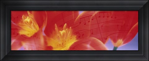Framed Tulips, Flowers Print