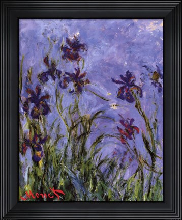 Framed Iris Print