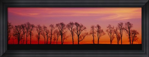 Framed Silhouette of Locus trees in a countryside, Pennsylvania Print