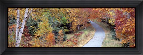 Framed Walking Path Acadia National Park Print