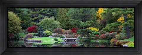 Framed Asticou Azalea Gardens Northwest Harbor Print