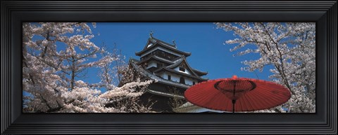 Framed Cherry Blossom Matsue Castle Japan Print