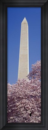 Framed Washington Monument, Washington DC Print