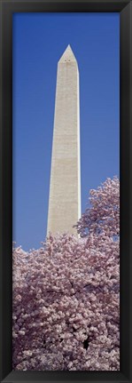 Framed Washington Monument, Washington DC Print