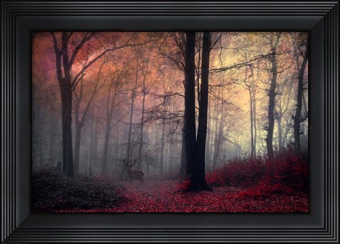 Framed Forest Dream Print