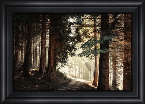 Framed Light Magic Print