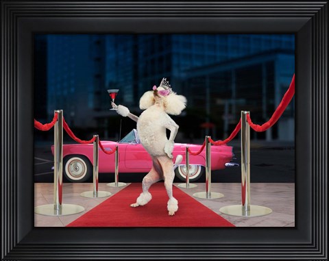 Framed Poodle Premier Print