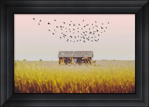Framed Harvest Barn Print