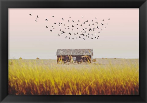 Framed Harvest Barn Print