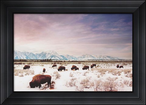 Framed Herds of The Tetons Print