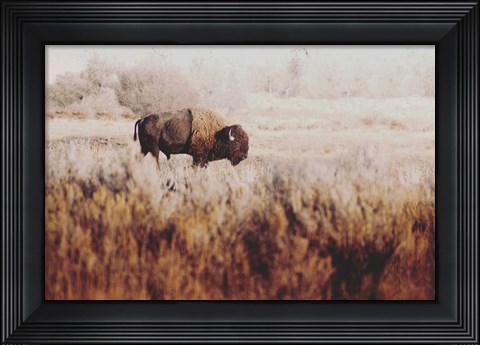 Framed Lone Ranger Print