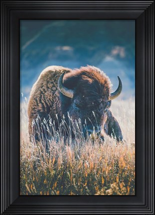 Framed Quiet Season Print