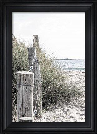 Framed Coastal V Print