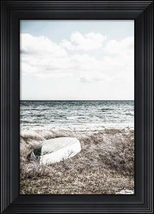 Framed Coastal I Print