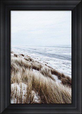 Framed Coastal II Print