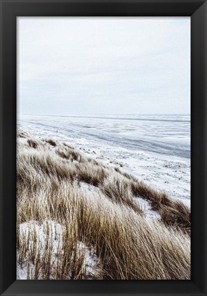 Framed Coastal II Print