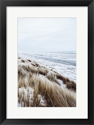 Framed Coastal II Print