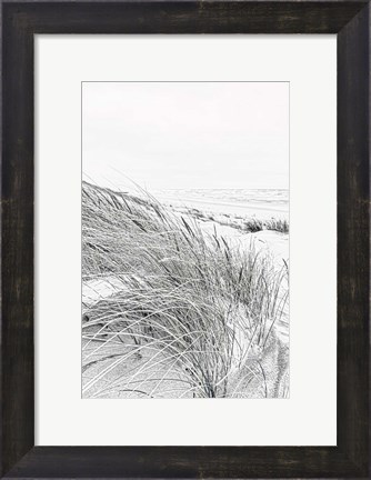 Framed Coastal III Print