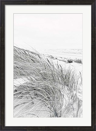 Framed Coastal III Print