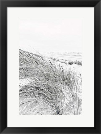 Framed Coastal III Print