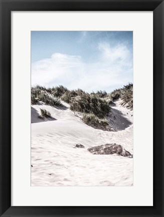 Framed Coastal IV Print