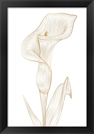 Framed Lily line I Print