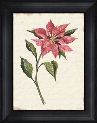 Framed Poinsettia Botanical I Print