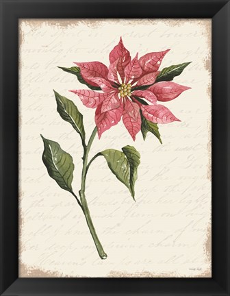 Framed Poinsettia Botanical I Print