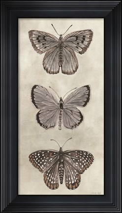 Framed Antique Butterflies I Print