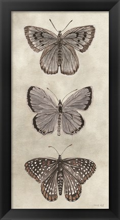 Framed Antique Butterflies I Print