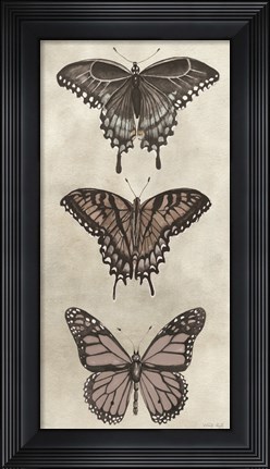 Framed Antique Butterflies II Print