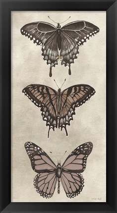 Framed Antique Butterflies II Print