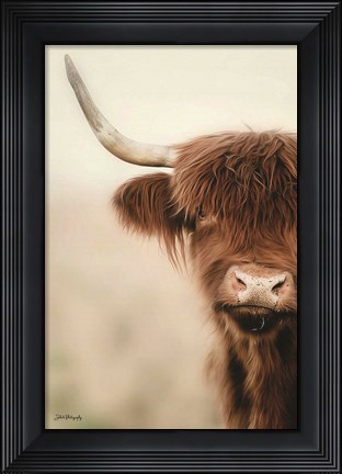 Framed Flanna Print