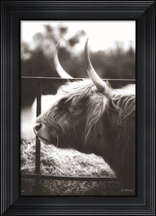 Framed Between the Lines Print