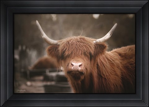 Framed Great Hair Day Print