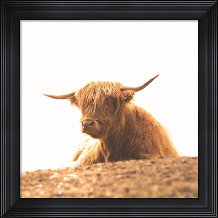 Framed Resting Spot I Print