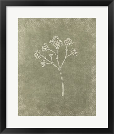 Framed Floral I Print