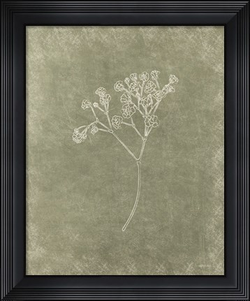 Framed Floral II Print