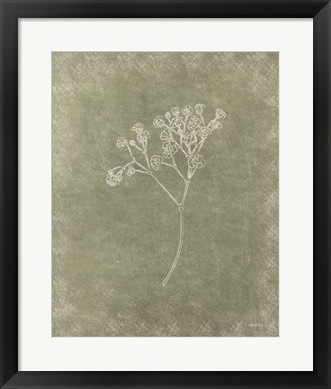 Framed Floral II Print