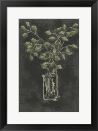 Framed Eucalyptus Print