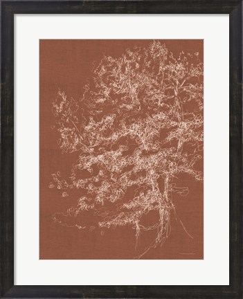 Framed Timber in the Woods Print