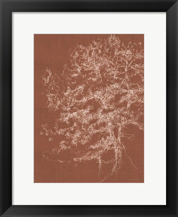 Framed Timber in the Woods Print