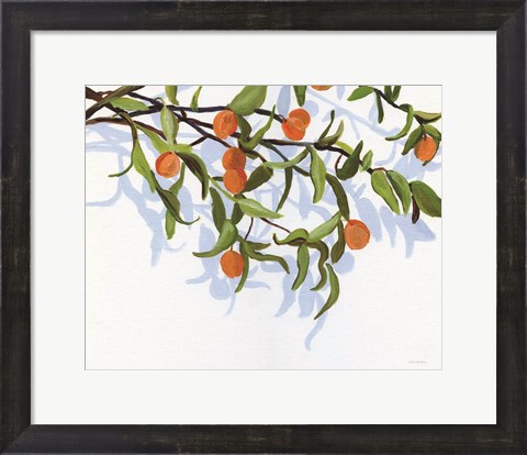 Framed Kumquats Print