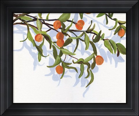 Framed Kumquats Print